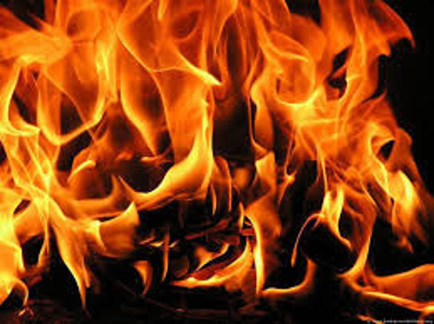 <p>The fire</p>