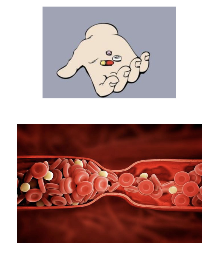 <ul><li><p>Used to <strong>delay</strong> or <strong>prevent</strong> <strong>undesirable</strong> <strong>blood</strong> <strong>clots</strong></p></li><li><p>Examples include: <strong>Heparin & Aspirin</strong></p></li></ul><p></p>