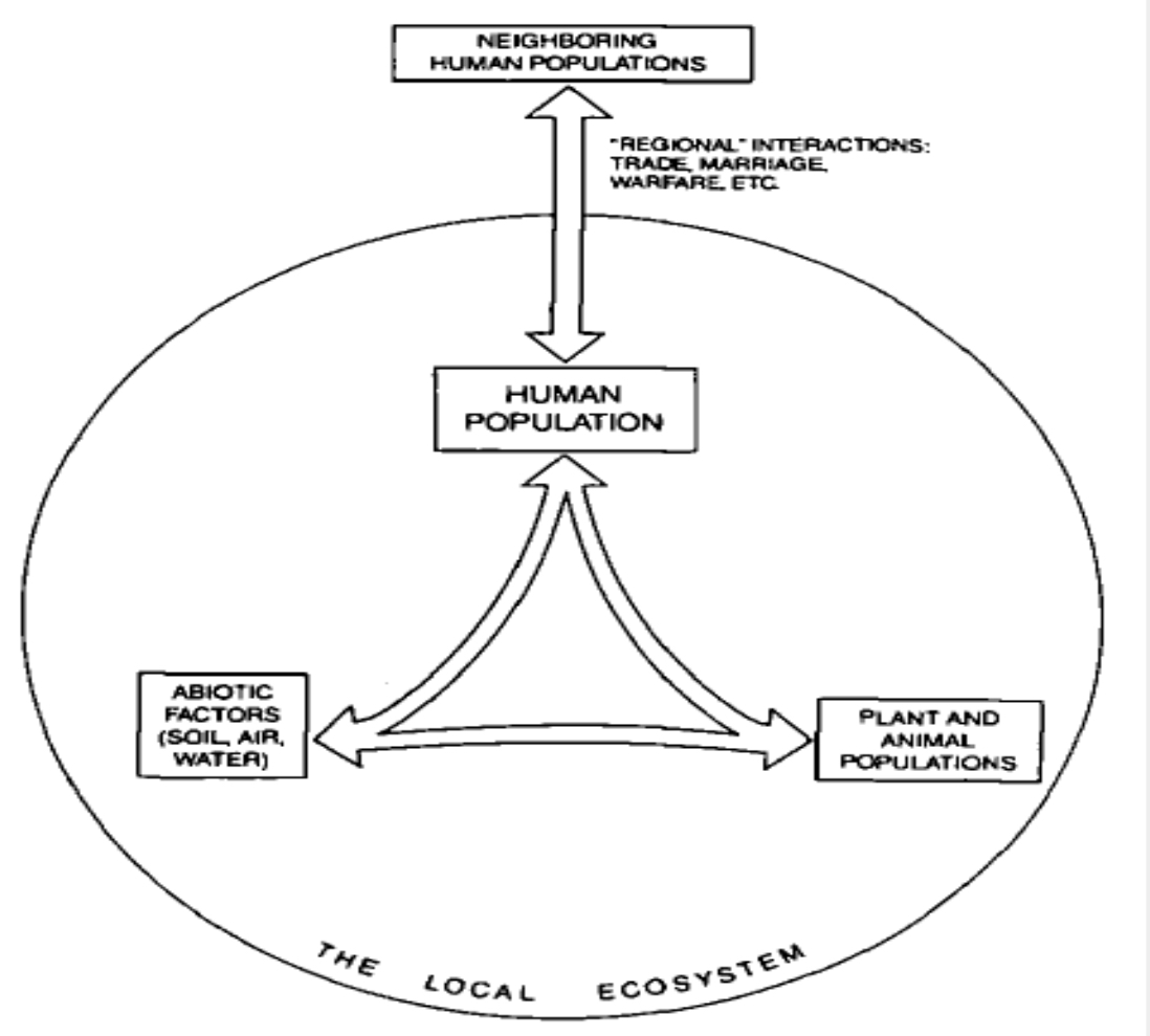<p>What human ecological framework is this?</p>