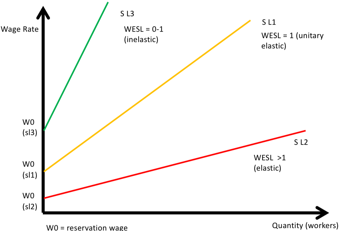 <p>the lowest wage any worker is willing to accept (W0)</p>