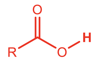 <p>Carboxylic Acid</p>