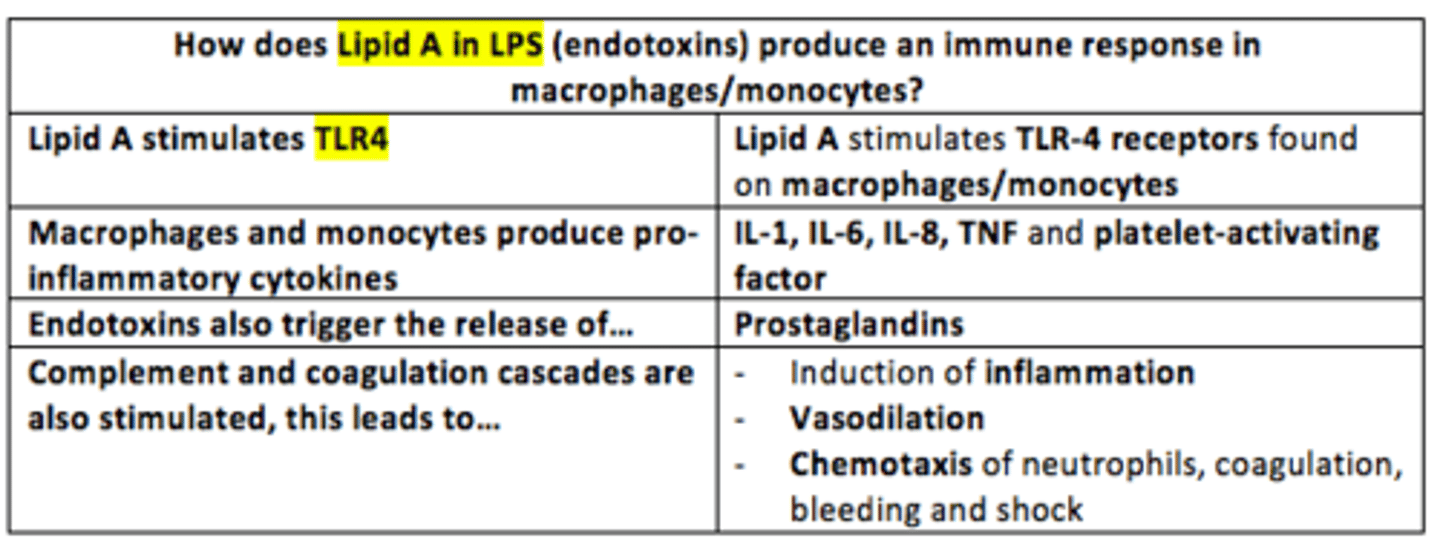 <p>Lipid A (the toxic component of endotoxins) stimulates TLR4 expressed on myeloid cells (macrophages, monocytes). </p><p>TLR-4 stimulation leads to production of pro-inflammatory cytokines such as IL-1, IL-6, IL-8, TNF and platelet-activating factor and also stimulate production of prostaglandins. </p>