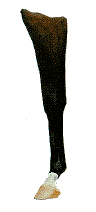 <p></p>