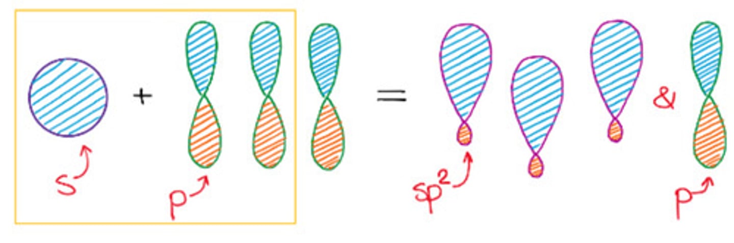 <p>b. sp2 hybridization.</p>