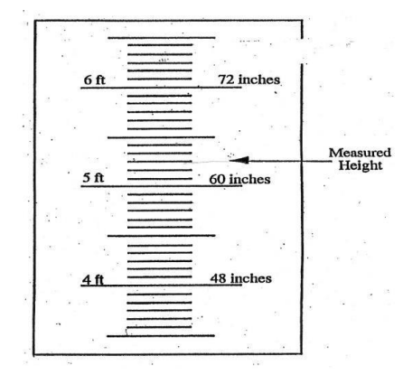 <p>The Nurse Assistant measured the height of a patient/resident. Using drawing to the right, what is the patient’s/resident’s height? </p><p>A. 60 inches </p><p>B. 5 ½ feet </p><p>C. 5 feet 3 inches </p><p>D. 4 feet, 13 inches</p>