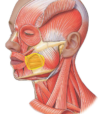 <p>What is this?</p>