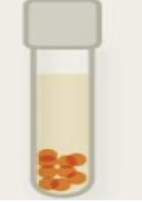 <p>oxygen use in metabolism? not used </p><p>can effectively manage reactive oxygen species? no</p>