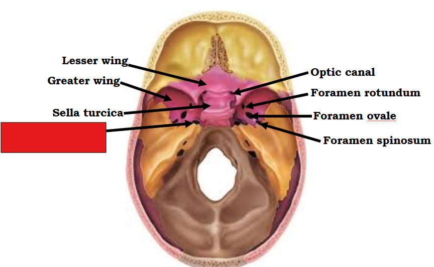<p>Fill in the red box:</p>