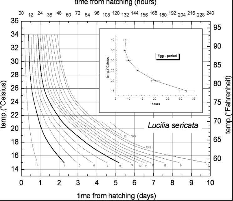 <p>a chart that plots the size of larvae over time while accounting for environmental temperature less accurate than isomorphe graph</p>