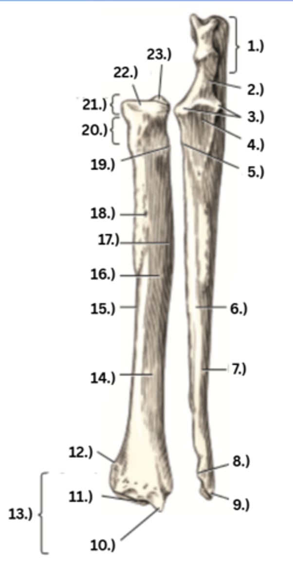 <p>16</p>