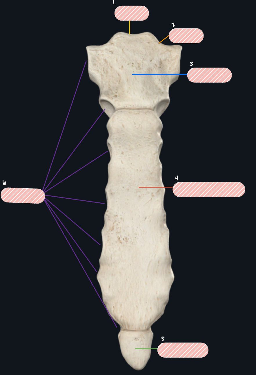 <p>Label 2</p>
