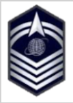 <p>Delta, globe, 4 chevrons, 2 orbits</p>