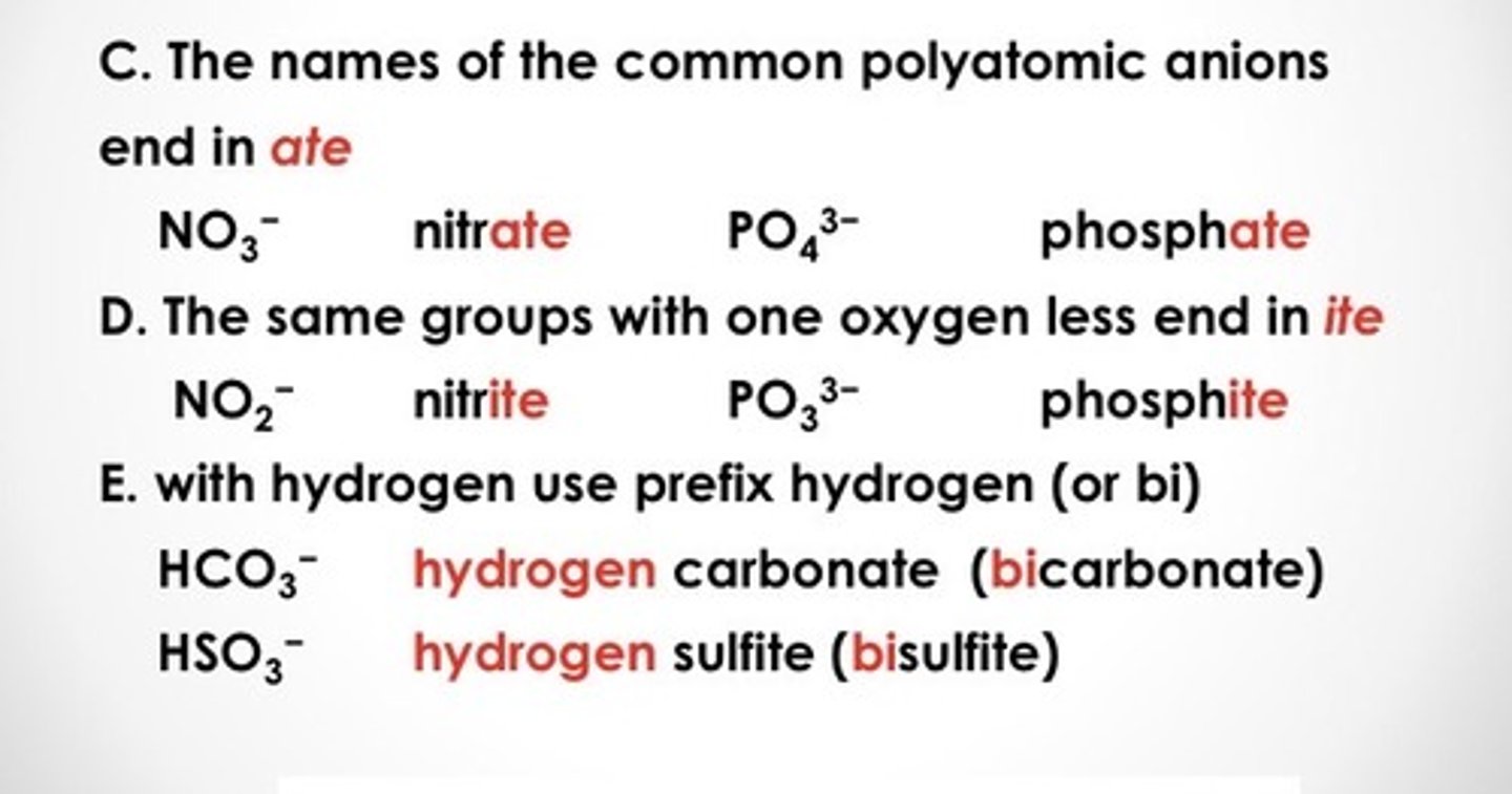<p>Ends with ate, ite or start with bi</p>