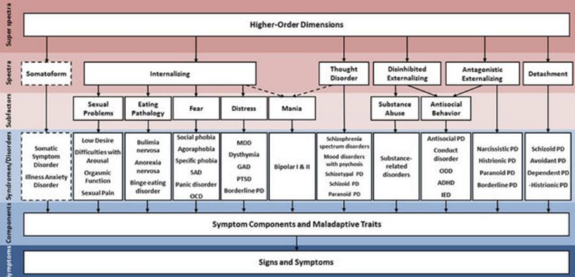 <p>a data-driven, hierarchically based alternative to traditional classifications that conceptualizes psychopathology as a set of dimensions organized into increasingly broad, transdiagnostic spectra</p>