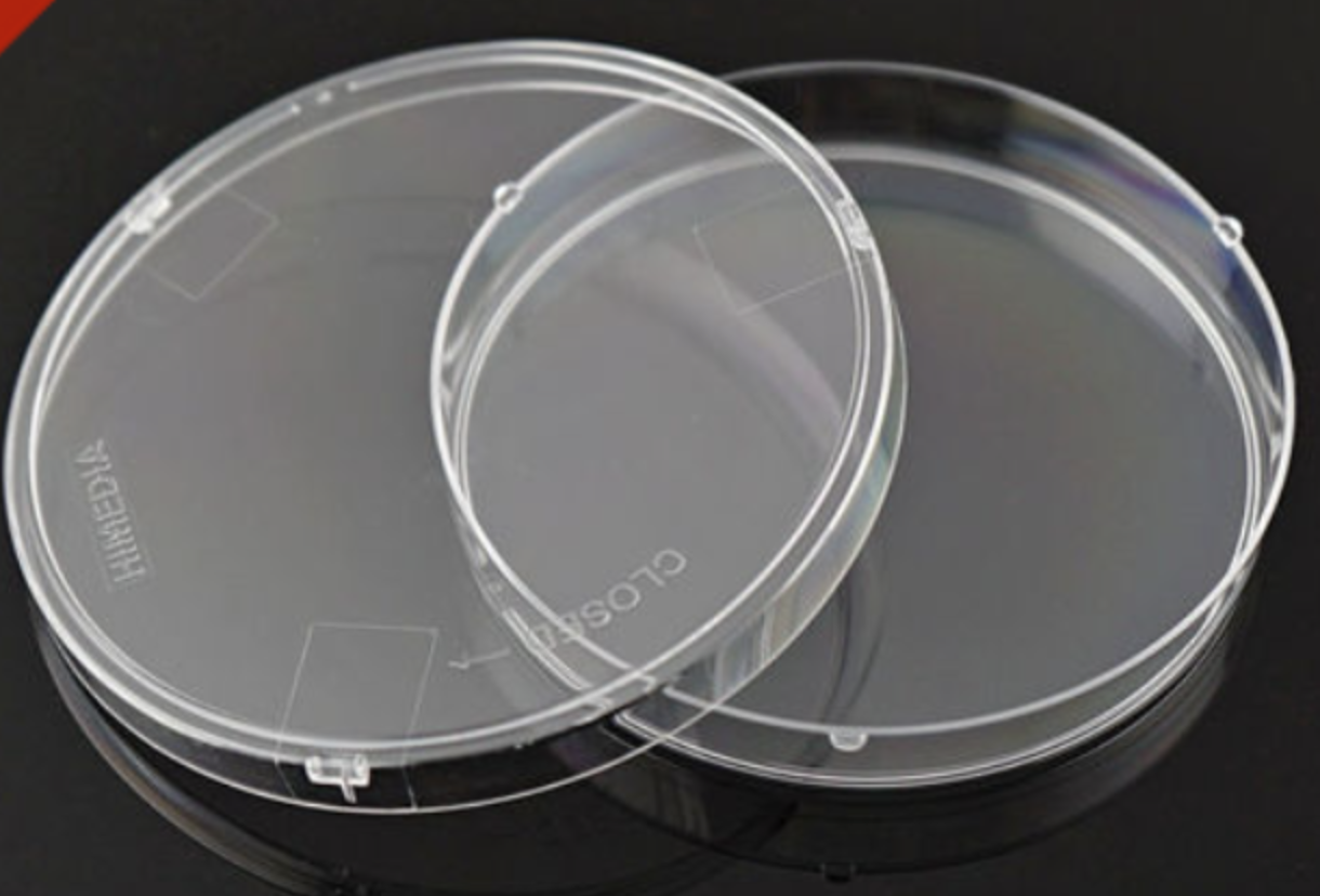 <p>plate used to culture microorganisms</p>