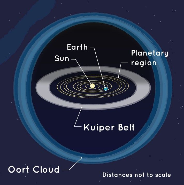 <p>Kuiper Belt is near the solar system's edge with frozen bodies; Oort Cloud is a distant spherical region.</p>