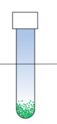 <p>What kind of organisms would grow like this in a tube with high O2 at the top to low O2 at the bottom?</p>