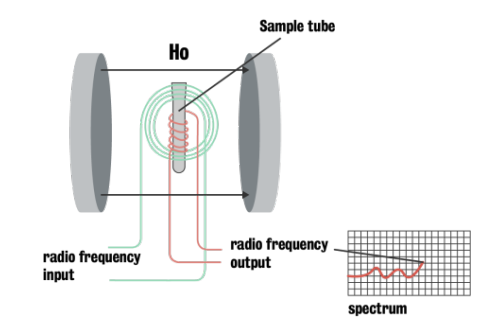Visual representation of NMR mechanism