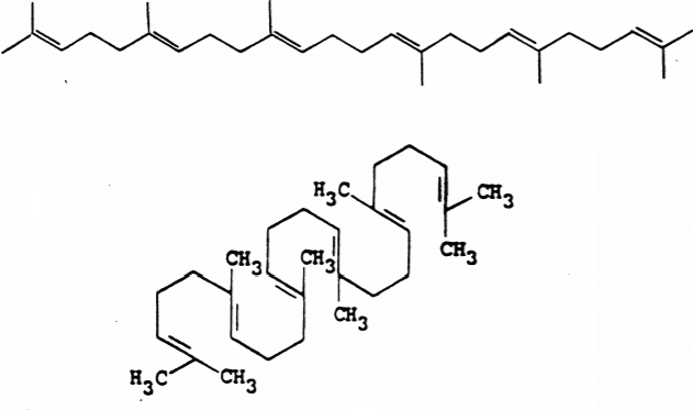 <p>a type of terpene that is the precursor for cholesterol and thus steroids</p>