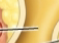 <p>what is this?</p>
