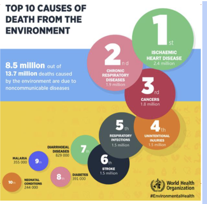 <p>Environmental Health Concepts</p>