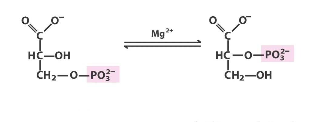 <p>what step in glycolysis, what react/prod</p>