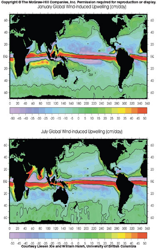 <ul><li><p>Also good illustration of how important the equatorial upwelling area is the largest and most powerful in the world</p></li><li><p>Note how the summer upwelling occurs further north than the winter upwelling </p><ul><li><p>Also not how there are some strong upwelling areas close to the coasts of Africa and India in the winter time</p><ul><li><p>The unit in this figure is cm/day = centimeters per day</p></li></ul></li></ul></li></ul>