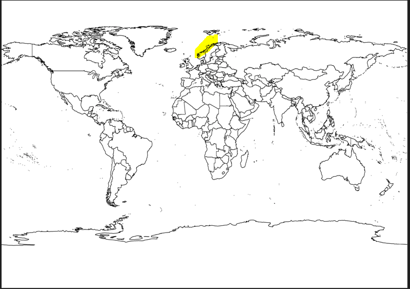 <p></p>