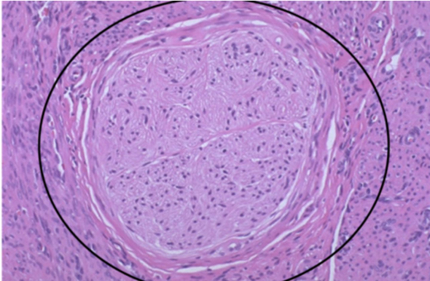 <p>Identify the structure</p>