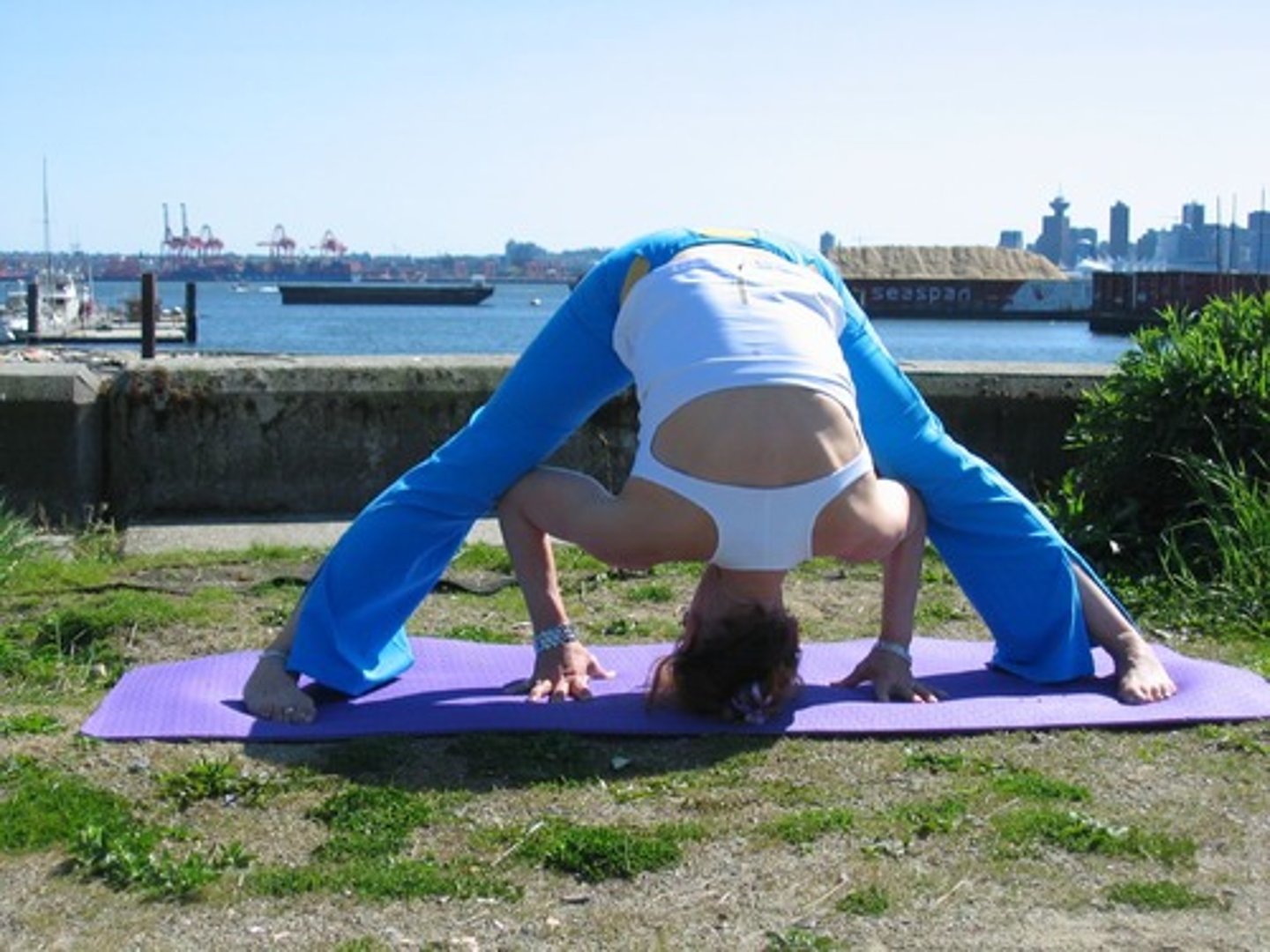 <p>Wide-Legged Forward Fold</p>