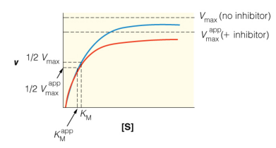 <p><u>Name the Type of Reversible Inhibition</u></p>