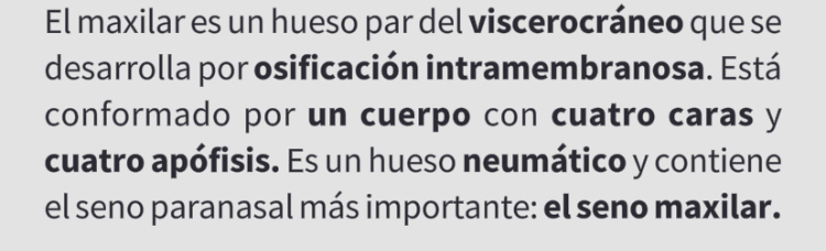 <p>Hueso Maxilar</p>
