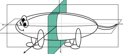 <p>What plane is this?</p>