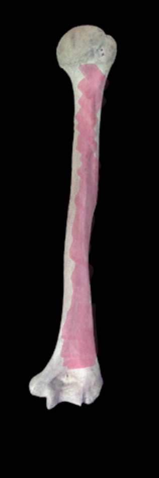 <p>What structure is this?</p>