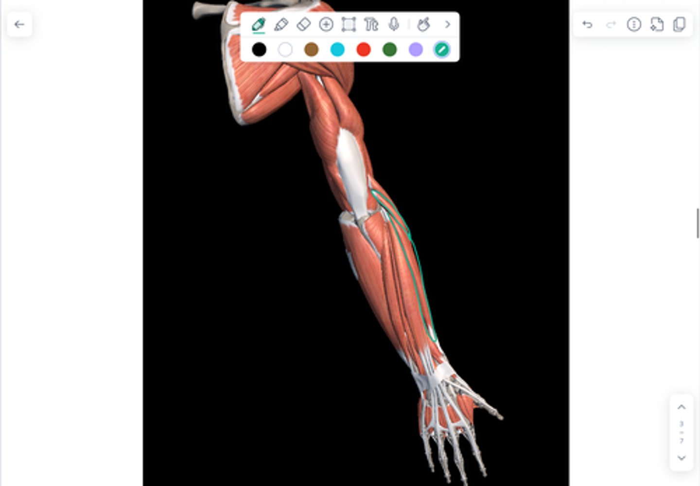 knowt flashcard image