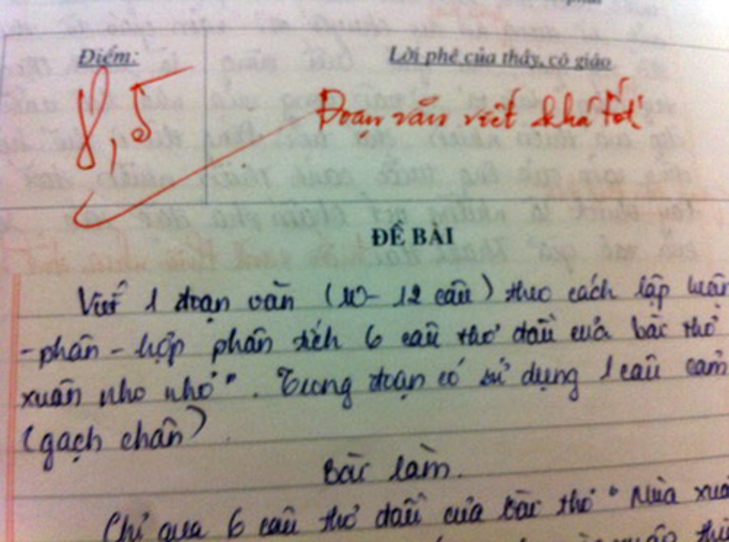 <p>(collocation) chấm điểm việc học của ai</p>