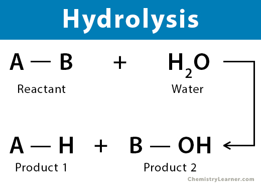 <p><span style="background-color: transparent;"><span>What is&nbsp;</span><strong><u><span>Hydrolysis?</span></u></strong></span></p>