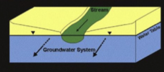 <p>parallel flow</p><p>local water table elevation mirrors the stream stage</p><p>zero exchange</p><p>no gradient, WT contours the stream at right angles and flow is parallel to the channel</p>
