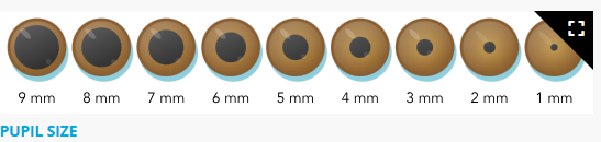 <p><span>The prefix milli- on millimeter represents one-thousandth of 1 meter. Nurses commonly use millimeters to measure a client’s pupil size and skin lesions.</span></p><p></p>