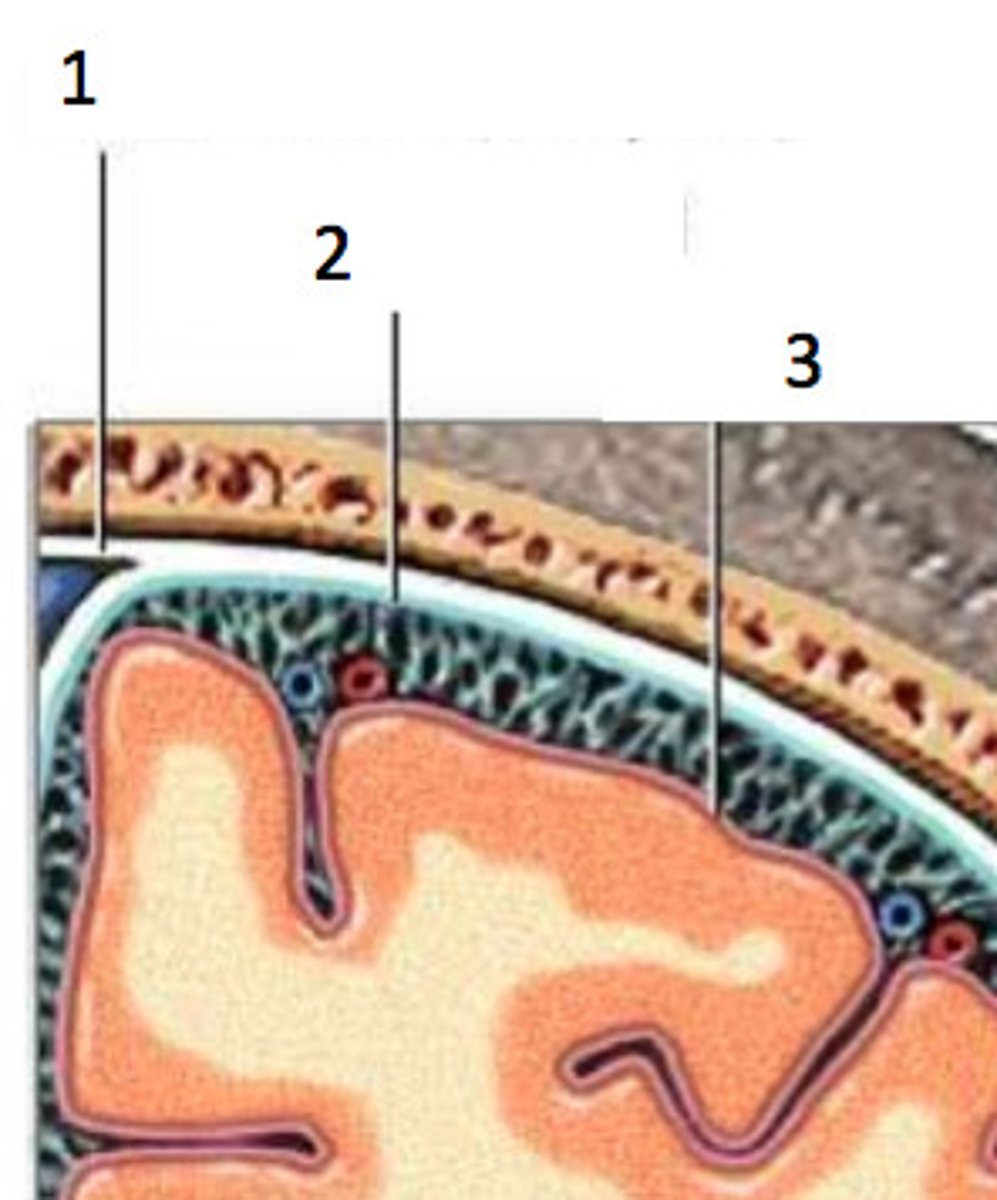 <p>3</p>