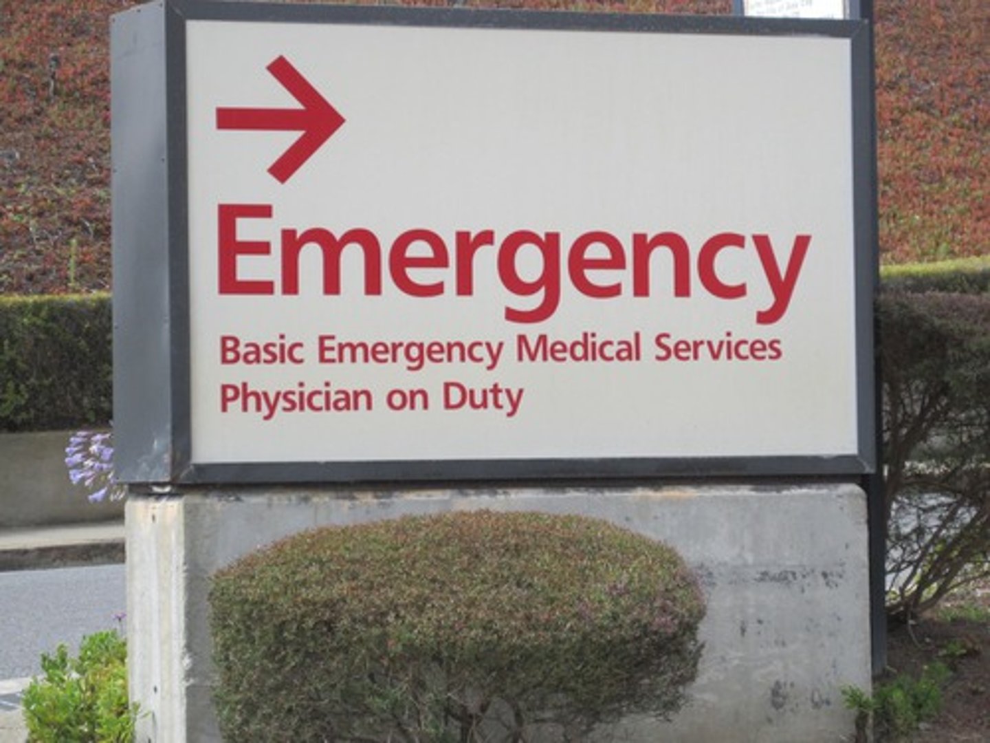 <p>emergency room</p>