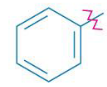 <p>A phenyl group</p>