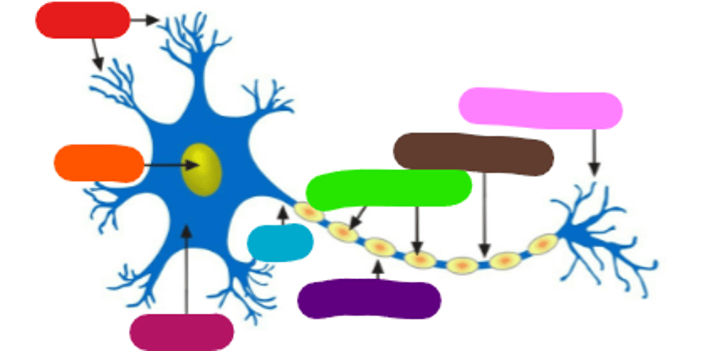 <p>What is this (light green)?***</p>