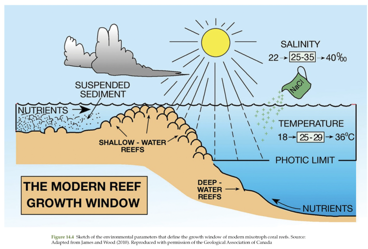 <ol><li><p>Water clarity</p></li><li><p>Sunlight</p></li><li><p>Nutrient levels</p></li><li><p>Salinity</p></li></ol>