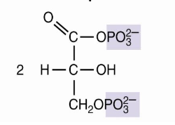 <p>1,3-bisphosphoglycerate</p>
