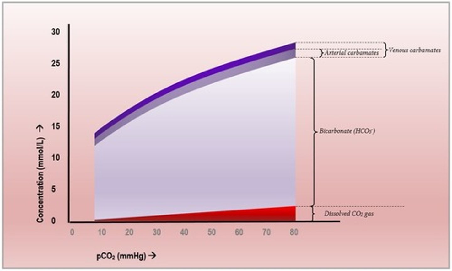 <p>partial pressure of carbon dioxide</p>