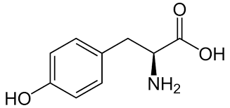 <p></p>