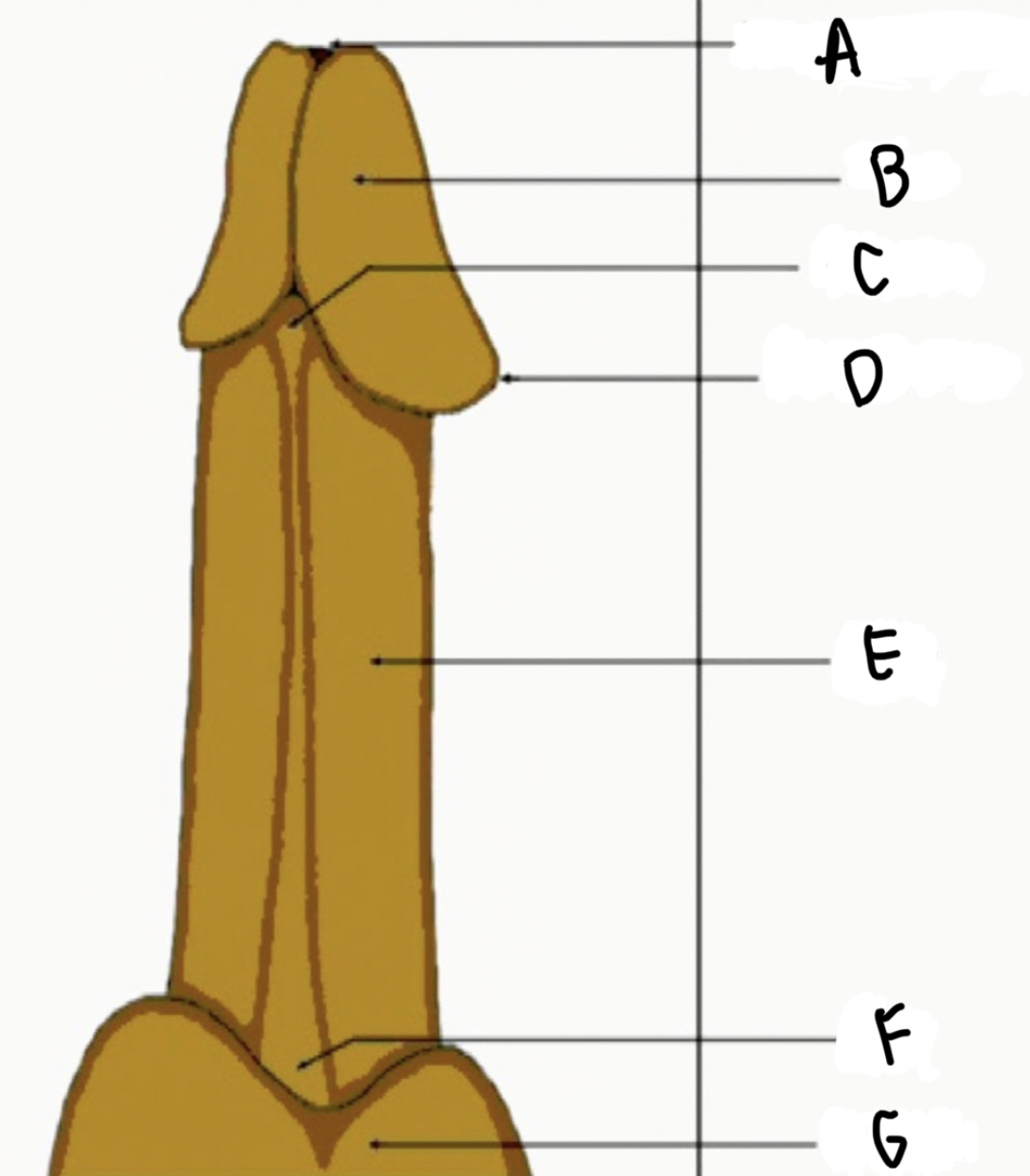 What is D?