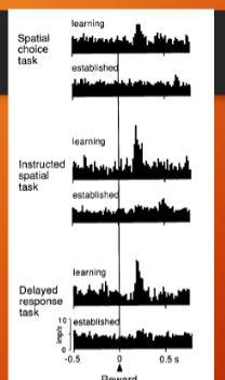 <p>there is response in dopamine neurons after reward in learning phase, but after monkey has learned the task the response goes away.</p>