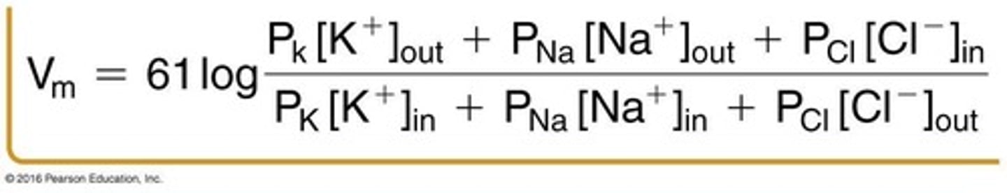 <p>Calculates membrane potential considering multiple ions.</p>